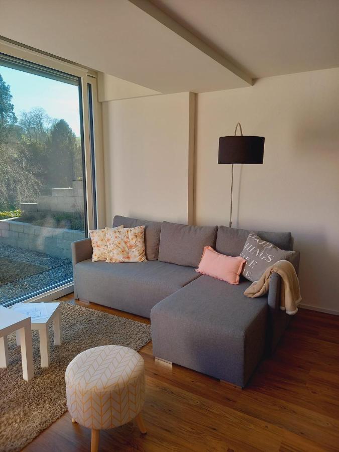Neue Wohnung An Stadtrand Mit Parkplatz Ebikon Kültér fotó