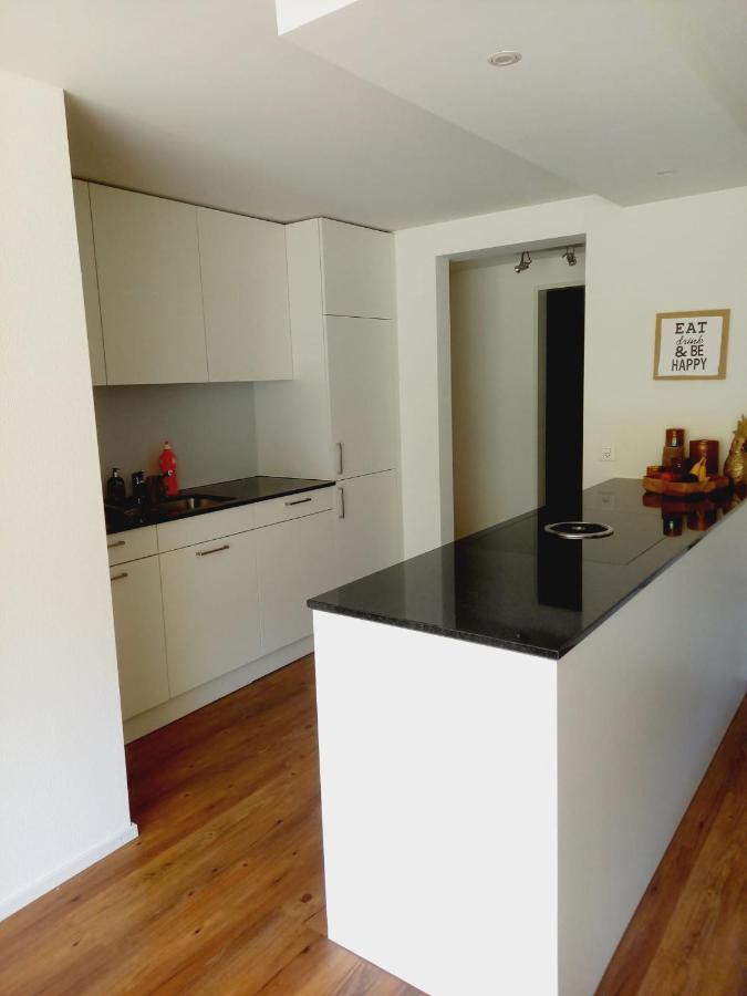 Neue Wohnung An Stadtrand Mit Parkplatz Ebikon Kültér fotó
